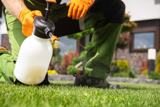 Best Pest Control Cost  in USA